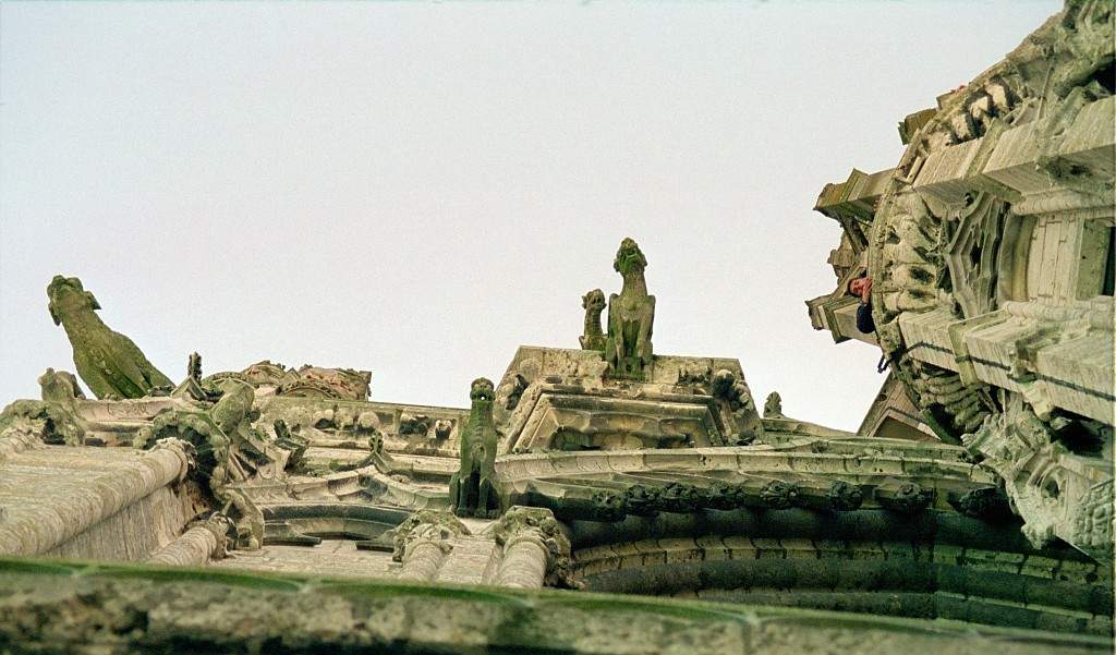 Cathédrale de Chartres