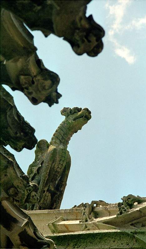 Cathédrale de Chartres