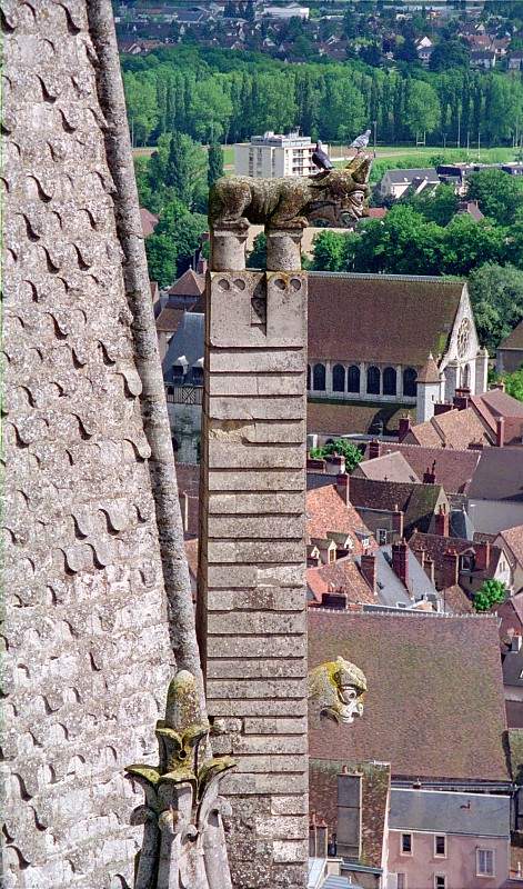 Cathédrale de Chartres