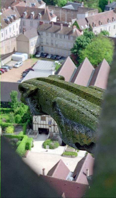 Cathédrale de Chartres