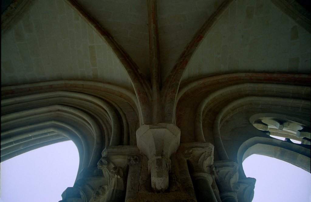 Abbaye_Cistercienne_La_Pitie_Dieu_de_l_Epau_0-0014.jpg