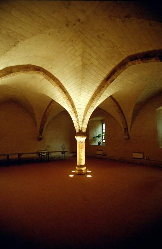 Abbaye_Cistercienne_La_Pitie_Dieu_de_l_Epau_0-0021.jpg