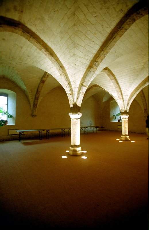 Abbaye_Cistercienne_La_Pitie_Dieu_de_l_Epau_0-0023.jpg