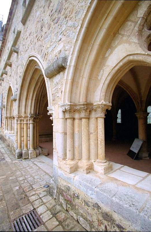 Abbaye_Cistercienne_La_Pitie_Dieu_de_l_Epau_0-0026.jpg