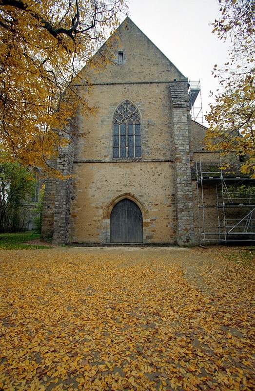 Abbaye_Cistercienne_La_Pitie_Dieu_de_l_Epau_4081-0011.jpg
