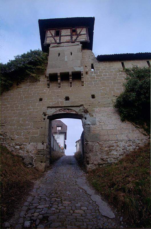 Abbaye_ND_de_la_Maigrauge-744085-0004.jpg