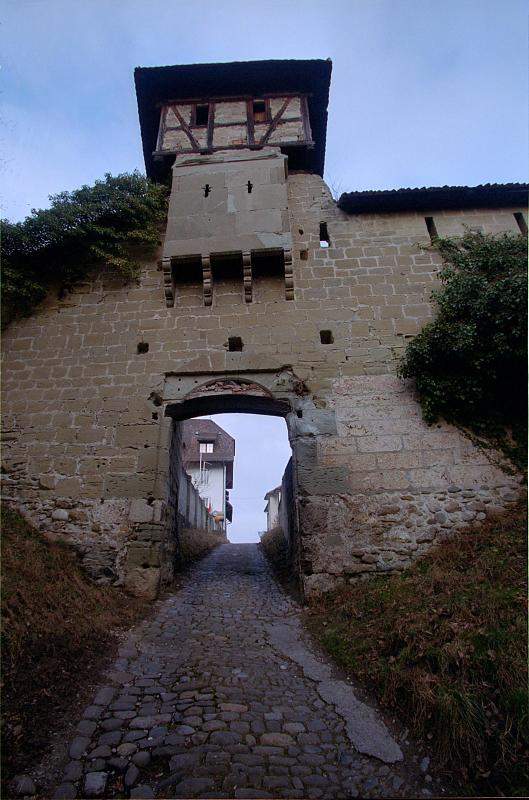 Abbaye Notre Dame de la Maigrauge