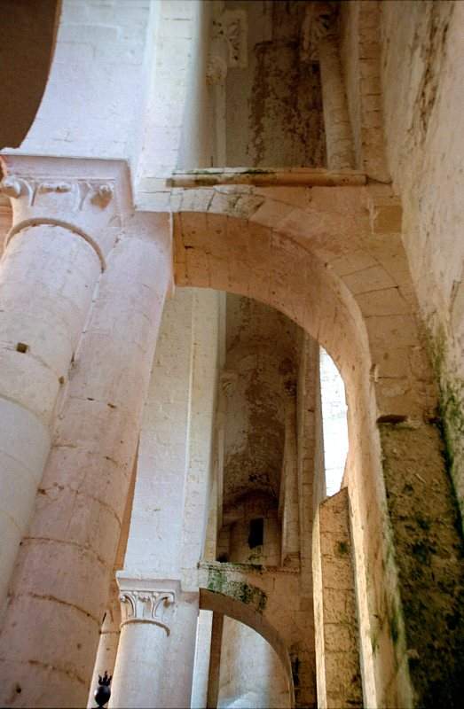 Abbaye_Saint_Junien_de_Nouaille_Mauperthuis_2944-0017.jpg