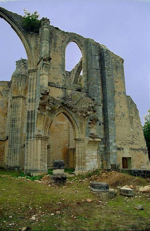 Abbaye de Le Lys