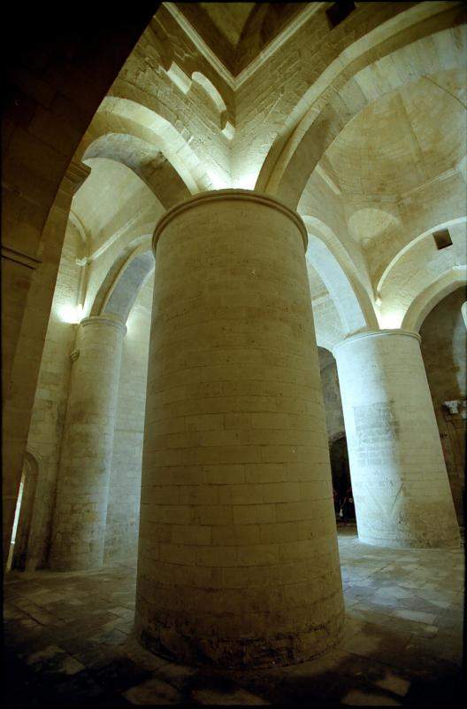 Arles-StHonoratdesAlyscamps-7638-0022.jpg