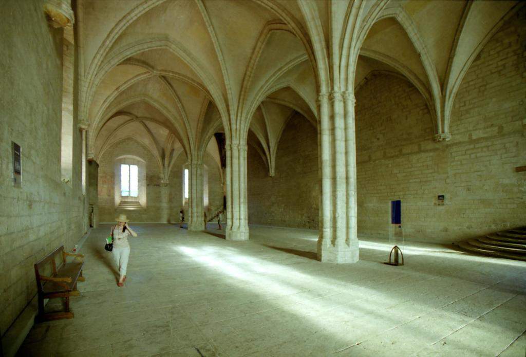 Palais des Papes dAvignon