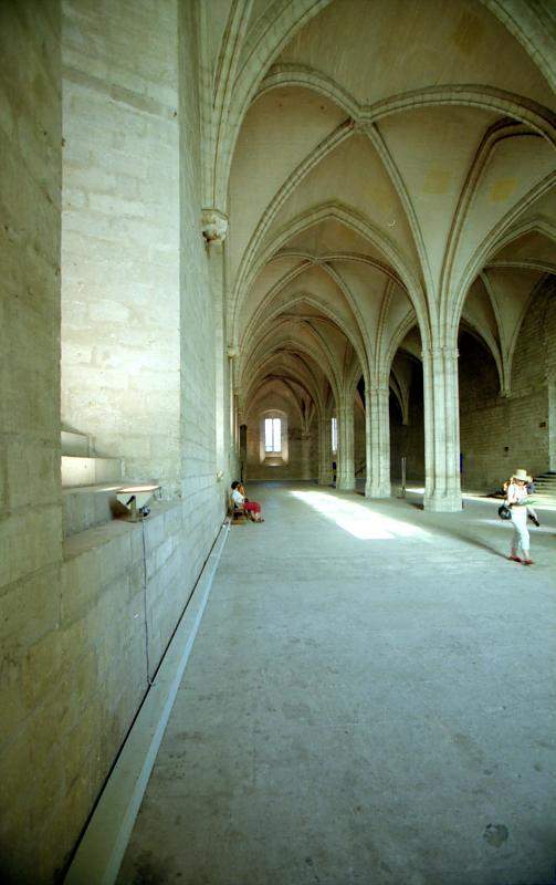 Palais des Papes dAvignon