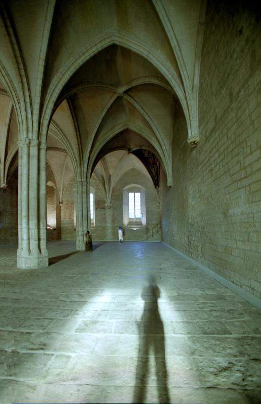 Palais des Papes dAvignon