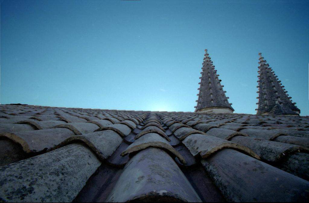 Palais des Papes dAvignon