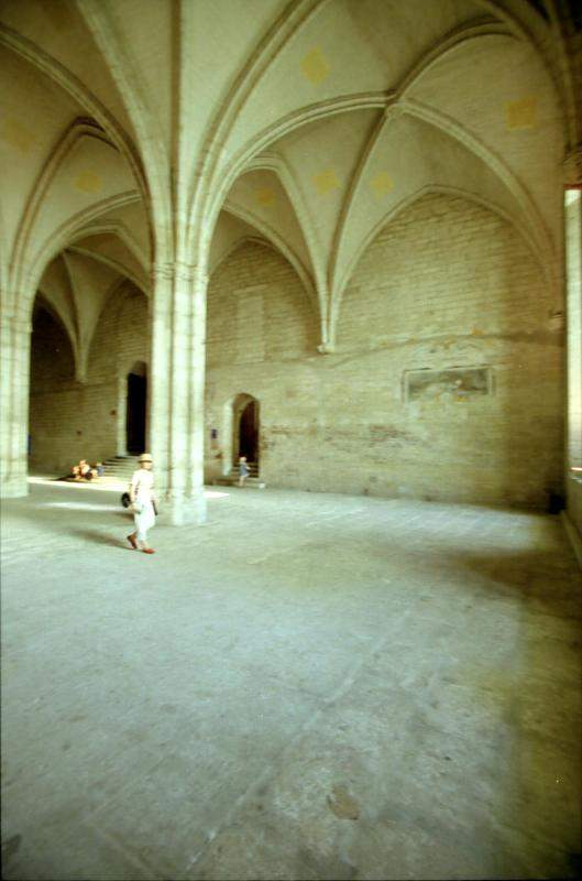 Palais des Papes dAvignon