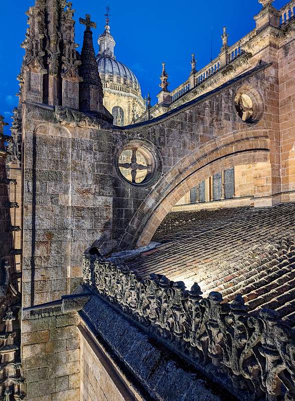 ES-Salamanca-Catedral_vieja-GEN_2024-09-15_0129.jpg