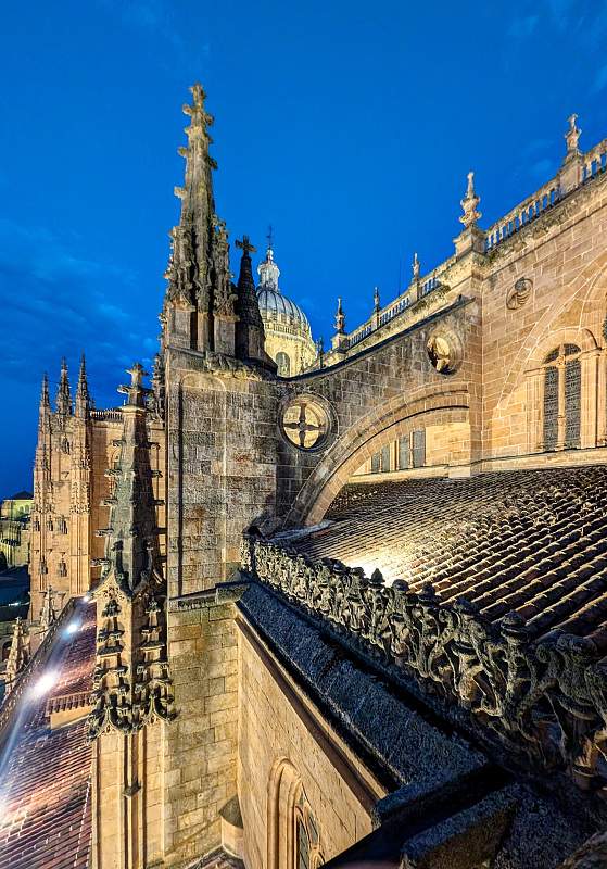 ES-Salamanca-Catedral_vieja-GEN_2024-09-15_0130.jpg