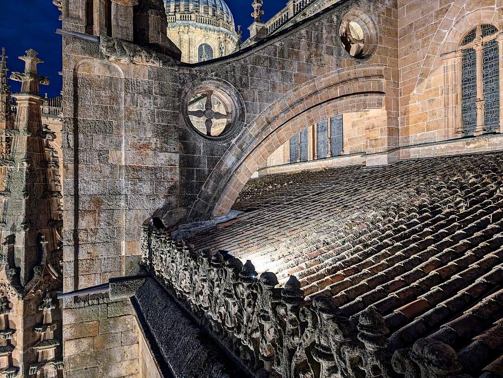 ES-Salamanca-Catedral_vieja-GEN_2024-09-15_0143.jpg