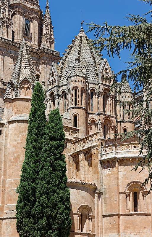 ES-Salamanca-Catedral_vieja-GEN_2024-09-15_5459_0000.jpg