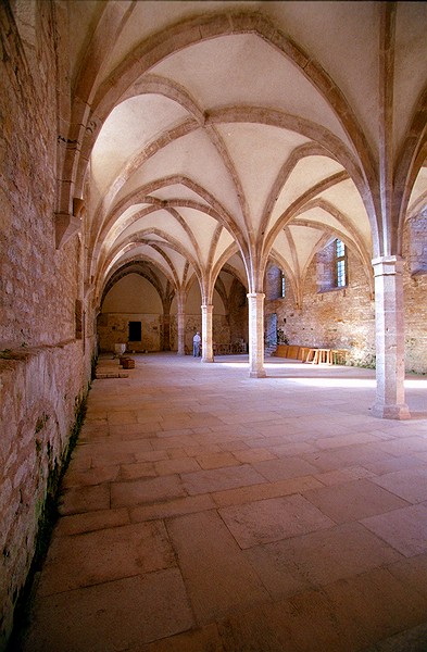 Abbaye de Cluny