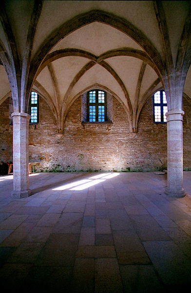 Abbaye de Cluny