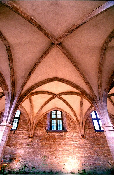 Abbaye de Cluny