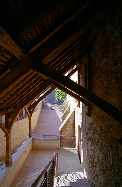 Abbaye de Cluny