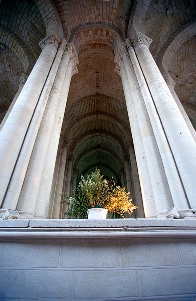 Notre Dame de Cunault