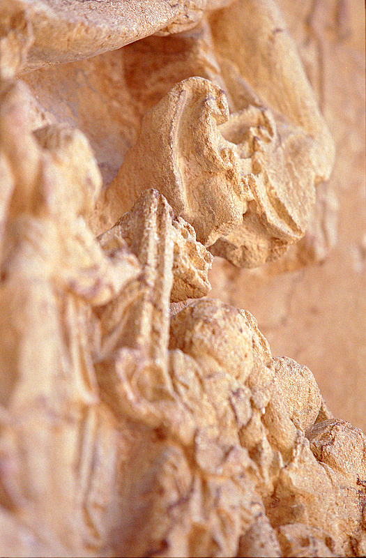 FR-Montceaux_l_Etoile-Saints_Pierre_et_Paul-7314-0010.jpg