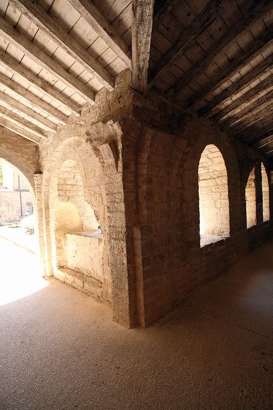 FR-Saint_Guilhem_le-Desert-Gellone-E5D_2011-07-15_0879.jpg