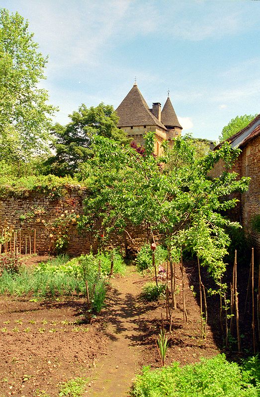 FR-Saint_Leon_sur_Vezere-Saint_Leon-9044-0019.jpg