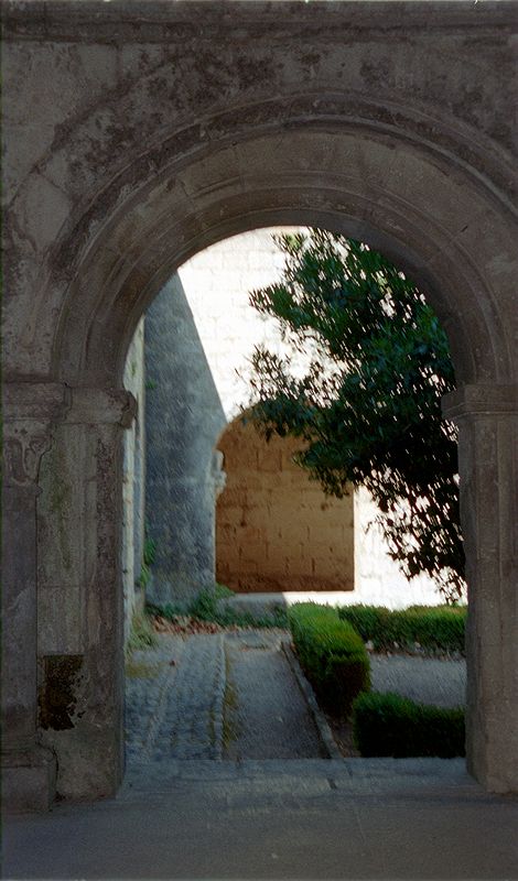 FR-Silvacane-Notre_Dame-585779-0012.jpg