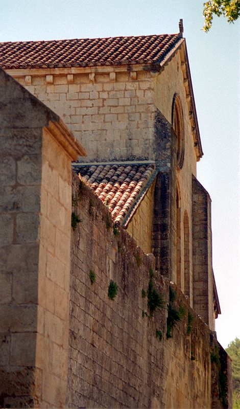 FR-Silvacane-Notre_Dame-585779-0029.jpg