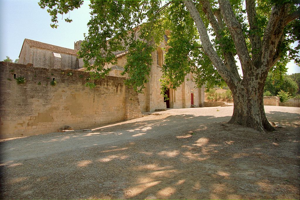 FR-Silvacane-Notre_Dame-7612-0035.jpg