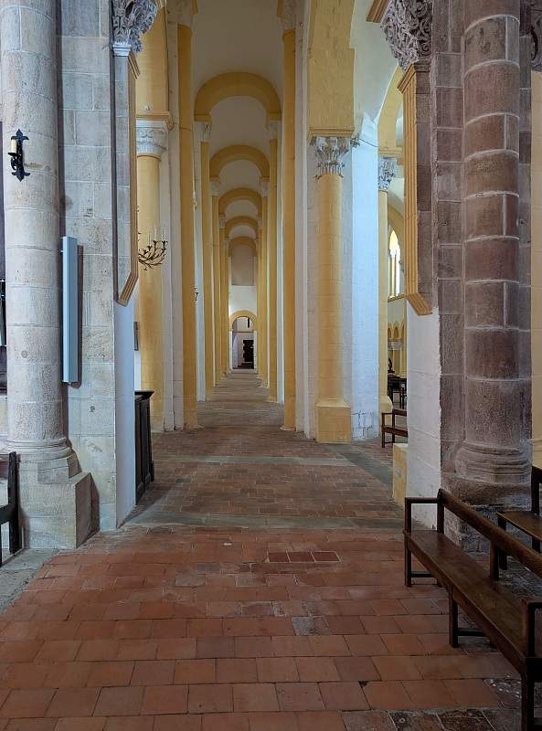 FR-Souvigny-Saint_Pierre_et_Saint_Paul-P8IX_2025-06-29_0016.jpg