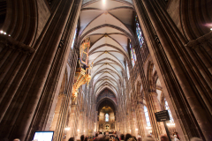 Cathédrale Notre-Dame de Strasbourg