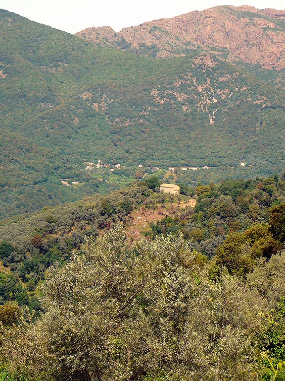 FR-Tallano-San_Giovanni_Battista_Poggio-tz1_2009-05-23-112654.jpg
