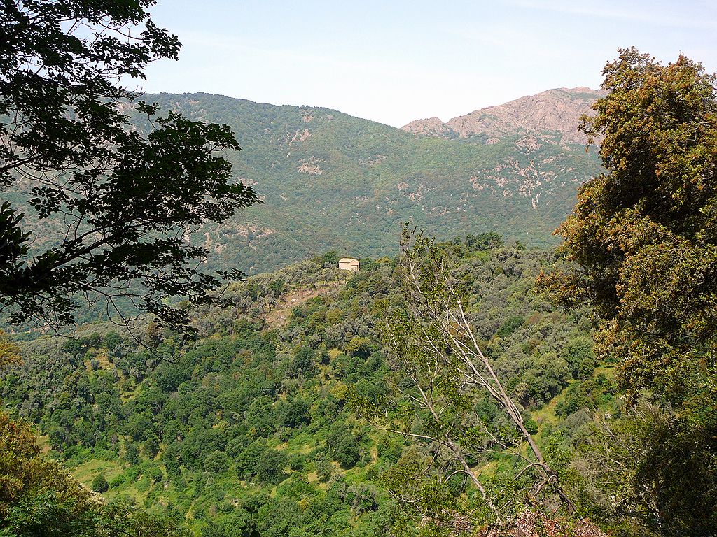 FR-Tallano-San_Giovanni_Battista_Poggio-tz1_2009-05-23-113523.jpg