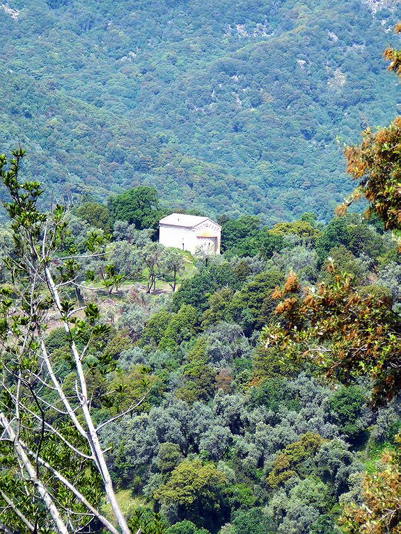 FR-Tallano-San_Giovanni_Battista_Poggio-tz1_2009-05-23-113553.jpg