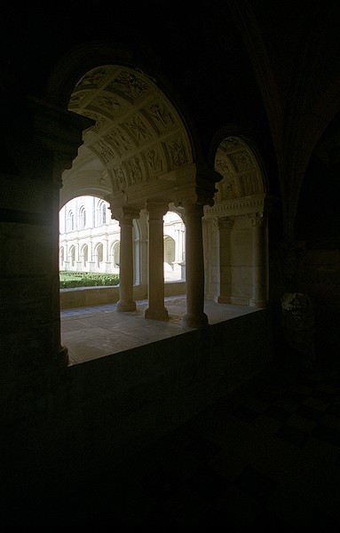 Notre Dame de Fontevraud