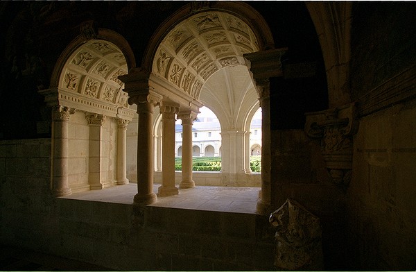 Notre Dame de Fontevraud