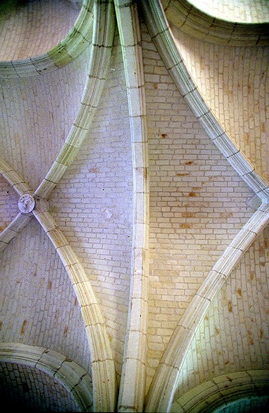 Notre Dame de Fontevraud