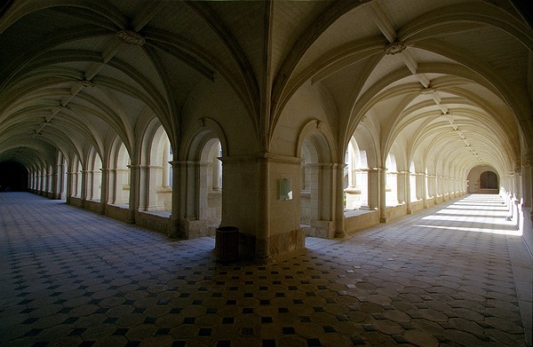 Notre Dame de Fontevraud