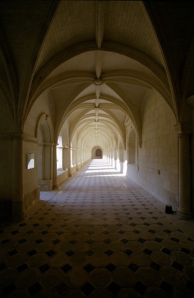 Notre Dame de Fontevraud