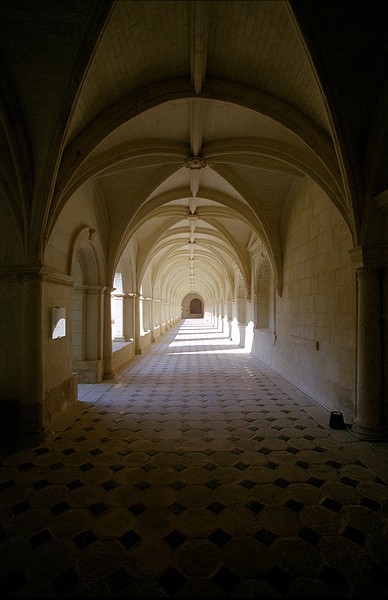 Notre Dame de Fontevraud