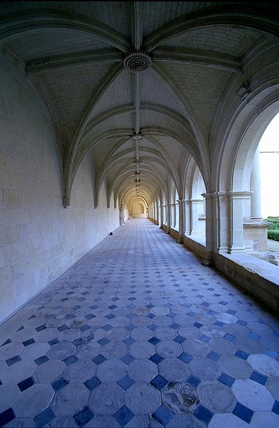 Notre Dame de Fontevraud