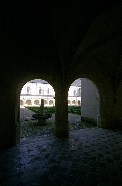 Notre Dame de Fontevraud