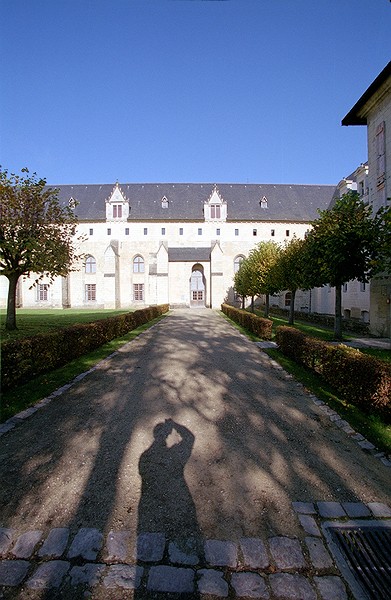 Notre Dame de Fontevraud