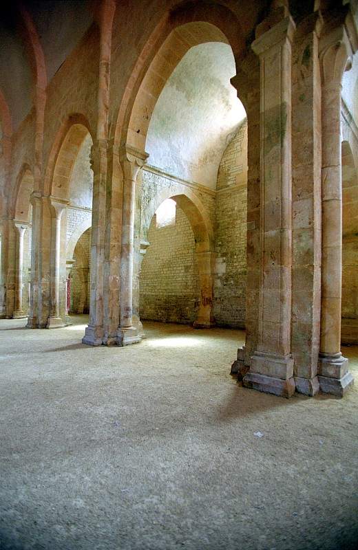 Abbaye de Fontenay